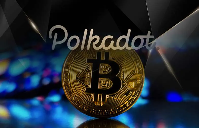 polkadot-wallet-development-company