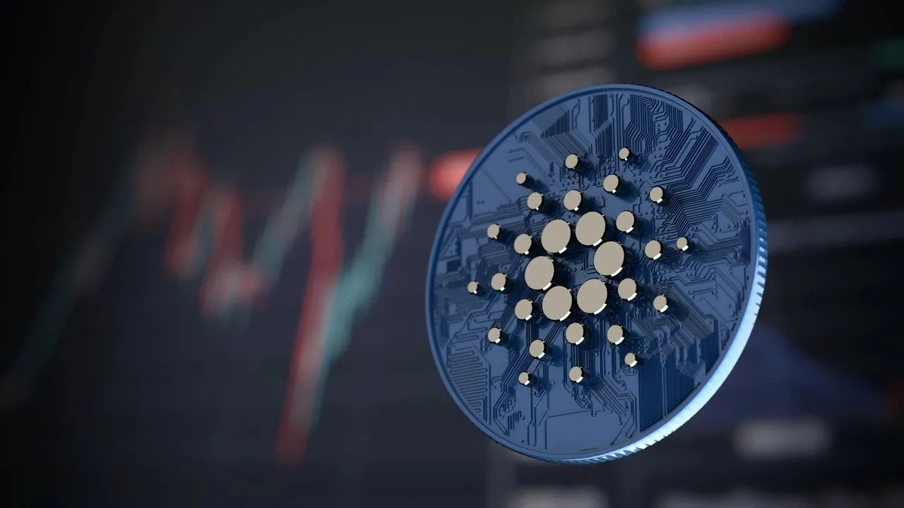nft-marketplace-on-cardano-development-company